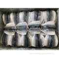 Frozen Fish Pacific Mackerel Flap With EU Standard